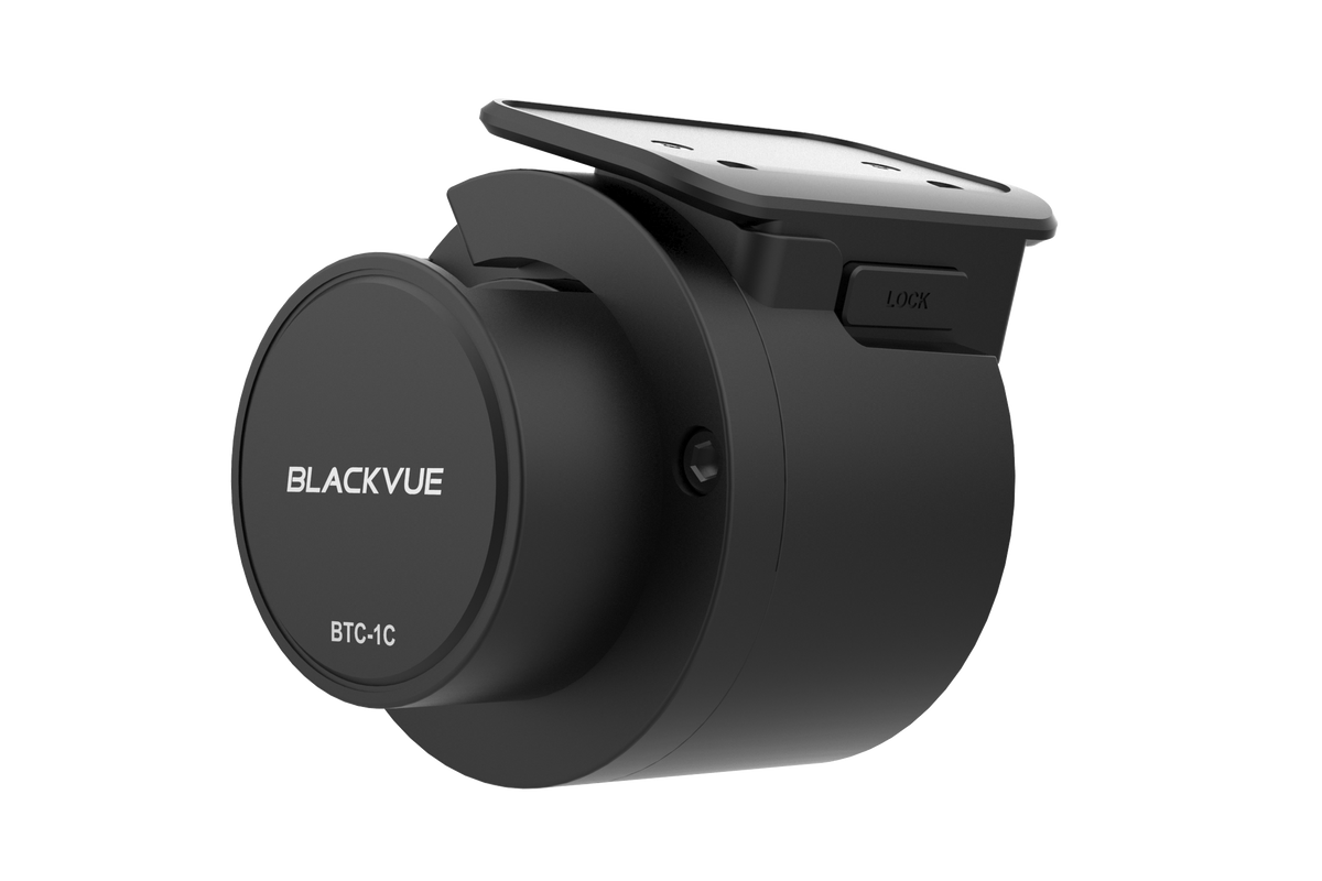 ビカクシダ BTSS OC BTC-1C_1200x1200.png?v=1741122072